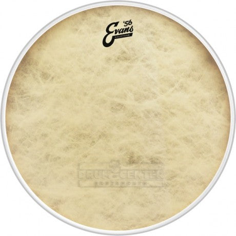 The 3 BEST Drum Heads for 2022 Reviewed