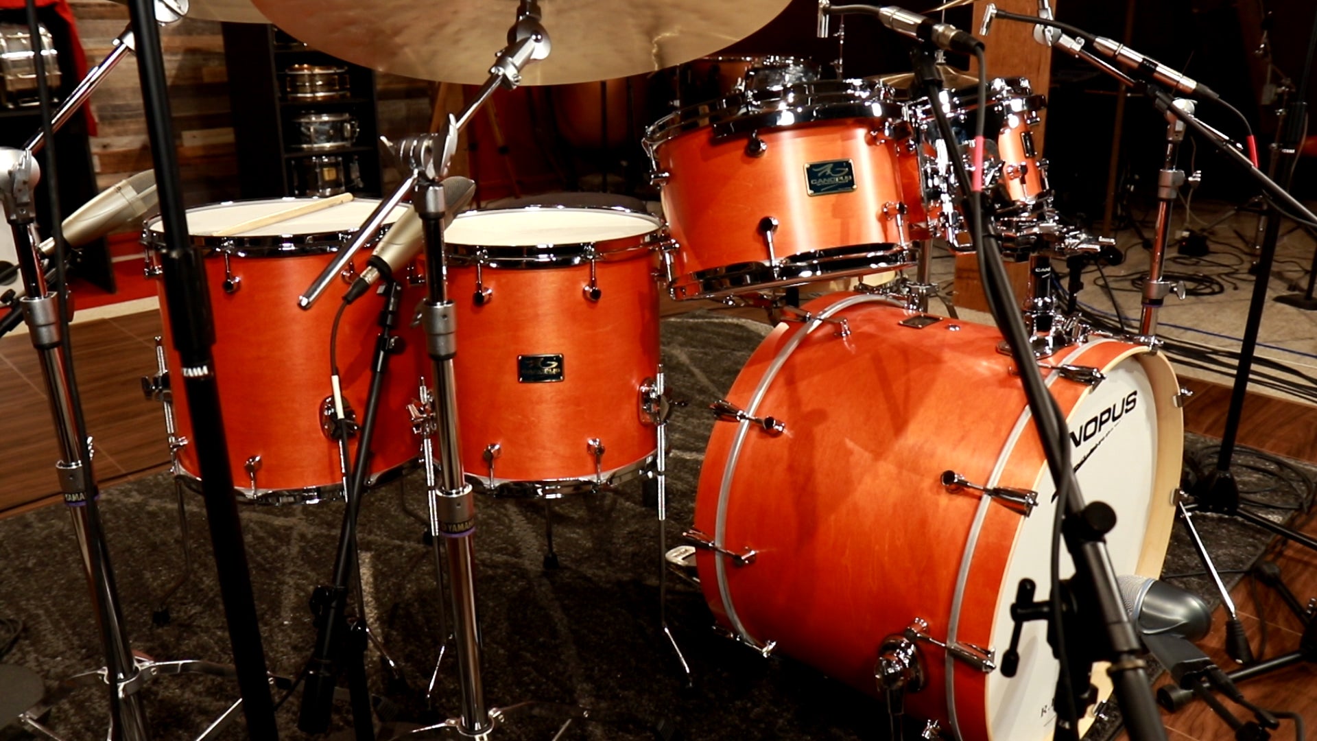 Canopus RFM vs. Sonor Prolite - Reinforced Maple Shell Showdown