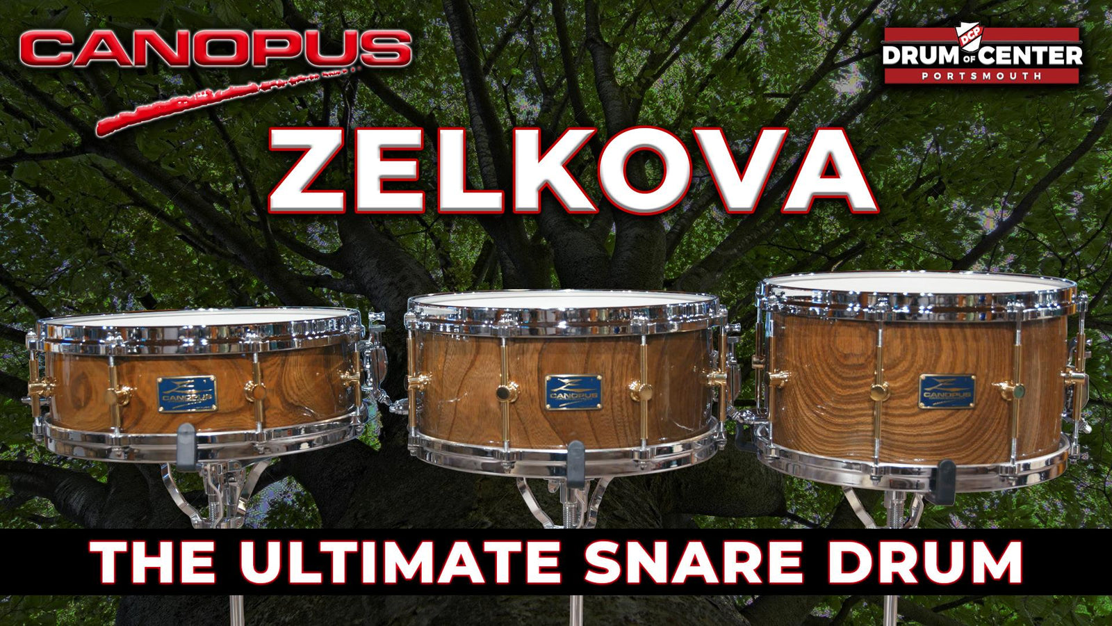 Canopus Zelkova - The Definitive Boutique Snare Drum