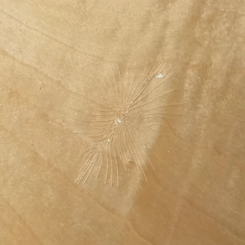 Used Gretsch Catalina Maple 7pc Drum Set Gloss Natural - Good - Drum Center Of Portsmouth