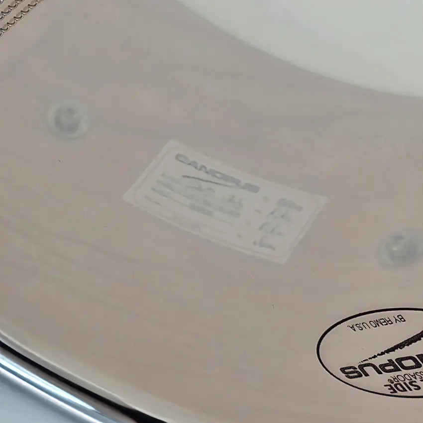 Used Canopus Custom Maple 14x6.5 Bitter Brown Oil - Very Good - Drum Center Of Portsmouth