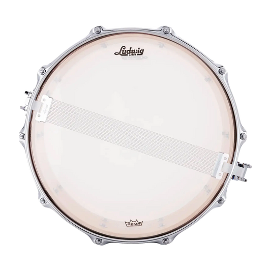 Ludwig Classic Maple Snare Drum 14x5 Gold/Blue/Gold Tri-Band - Drum Center Of Portsmouth