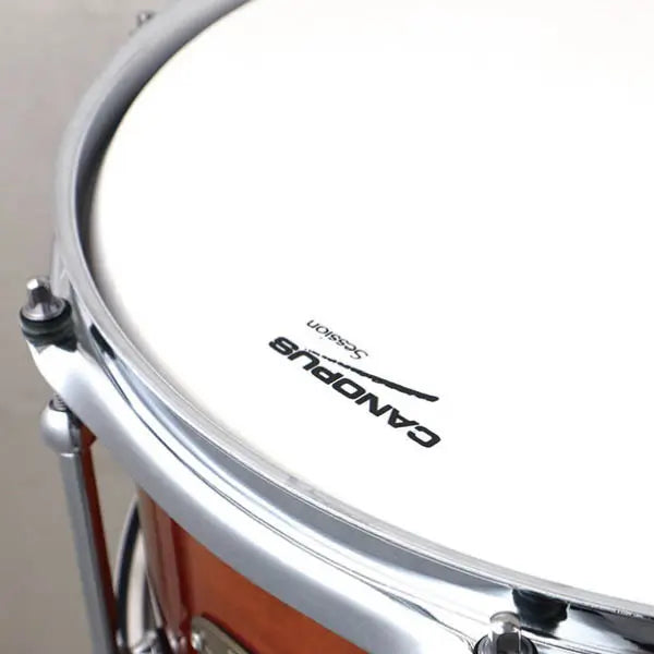 Canopus Session Superior Snare Drum 14x5.5 Russet Brown Fade - Drum Center Of Portsmouth