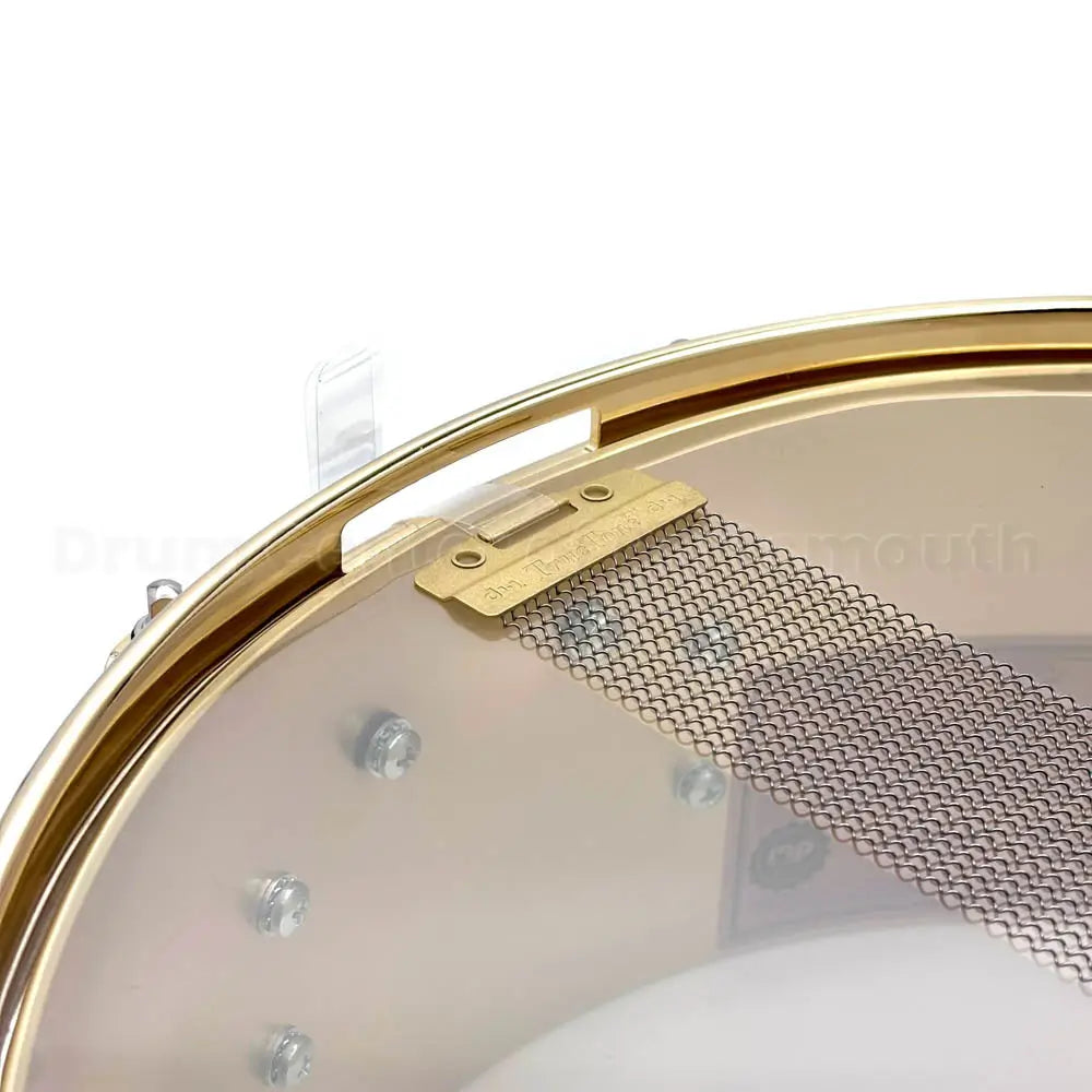 DW Collectors Bell Brass Snare Drum 14x5.5 w/Gold Hardware - Drum Center Of Portsmouth