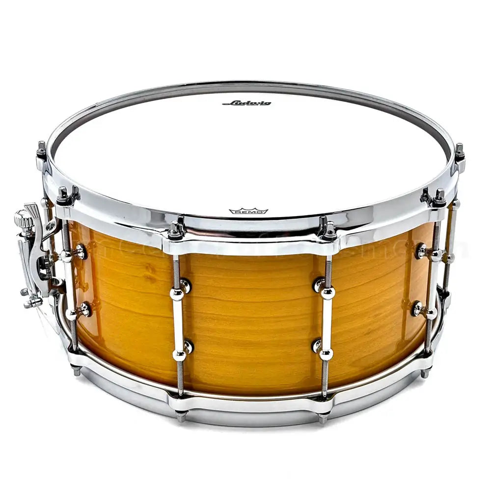 Ludwig Limited Edition Solid Ply Tulipwood Snare Drum 14x6.5 Golden Slumbers - DCP Exclusive! - Drum Center Of Portsmouth