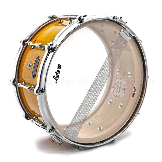 Ludwig Limited Edition Solid Ply Tulipwood Snare Drum 14x6.5 Golden Slumbers - DCP Exclusive! - Drum Center Of Portsmouth