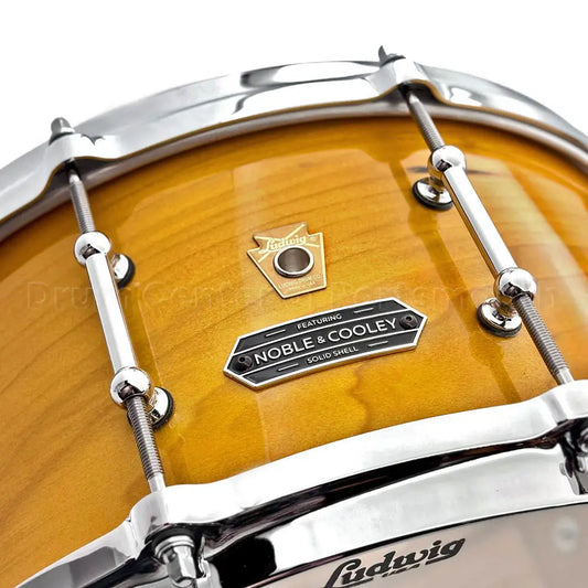 Ludwig Limited Edition Solid Ply Tulipwood Snare Drum 14x6.5 Golden Slumbers - DCP Exclusive! - Drum Center Of Portsmouth