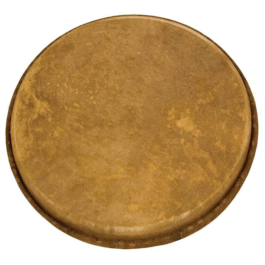 Tycoon Percussion Natural Unbleached Goatskin Replacement Head For Dancing Drum Djembe 11