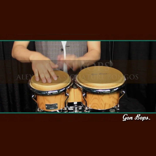 Gon Bops Alex Acuna Signature Bongos
