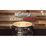 Ludwig Classic Maple Pro Beat Drum Set Olive Oyster