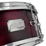 Canopus Limited Edition Birch Snare Drum 14x5.5 Violet Matte Lacquer