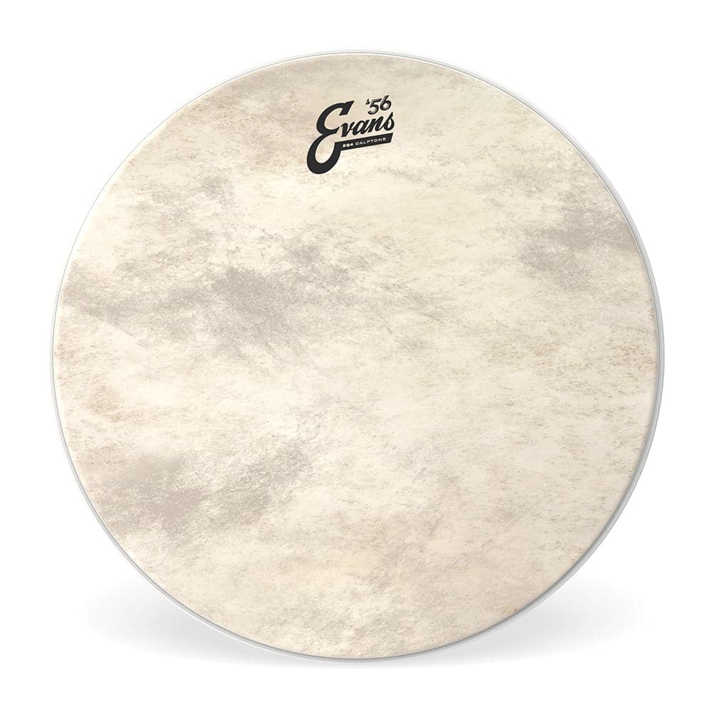 Evans EQ4 Drum Heads : 18 Calftone Bass Drum Head