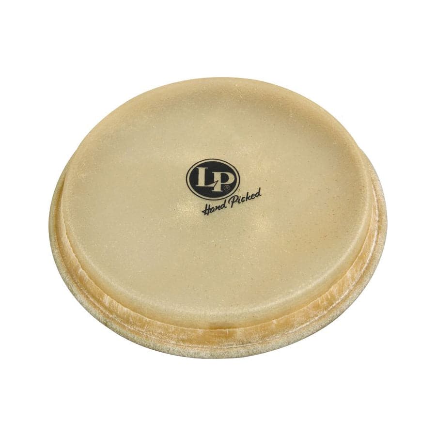 LP Large Mounted Bongo Head Rawhide
