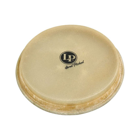 LP Large Mounted Bongo Head Rawhide