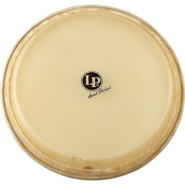 LP 11 Mtd Quinto Head