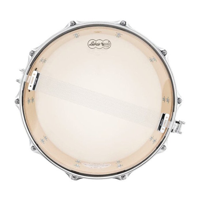 Ludwig Classic Maple Snare Drum - 14x5 - Citrus Mod