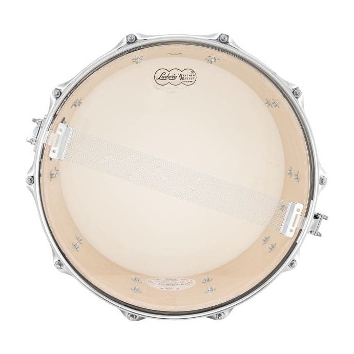 Ludwig Classic Maple Snare Drum - 14x6.5 - Citrus Mod